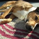 2w